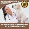 Veterinarian with a dog promoting natural pet ingredients.