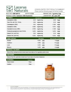 Edibles-Lazarus Turmeric & 25mg CBD Gummies